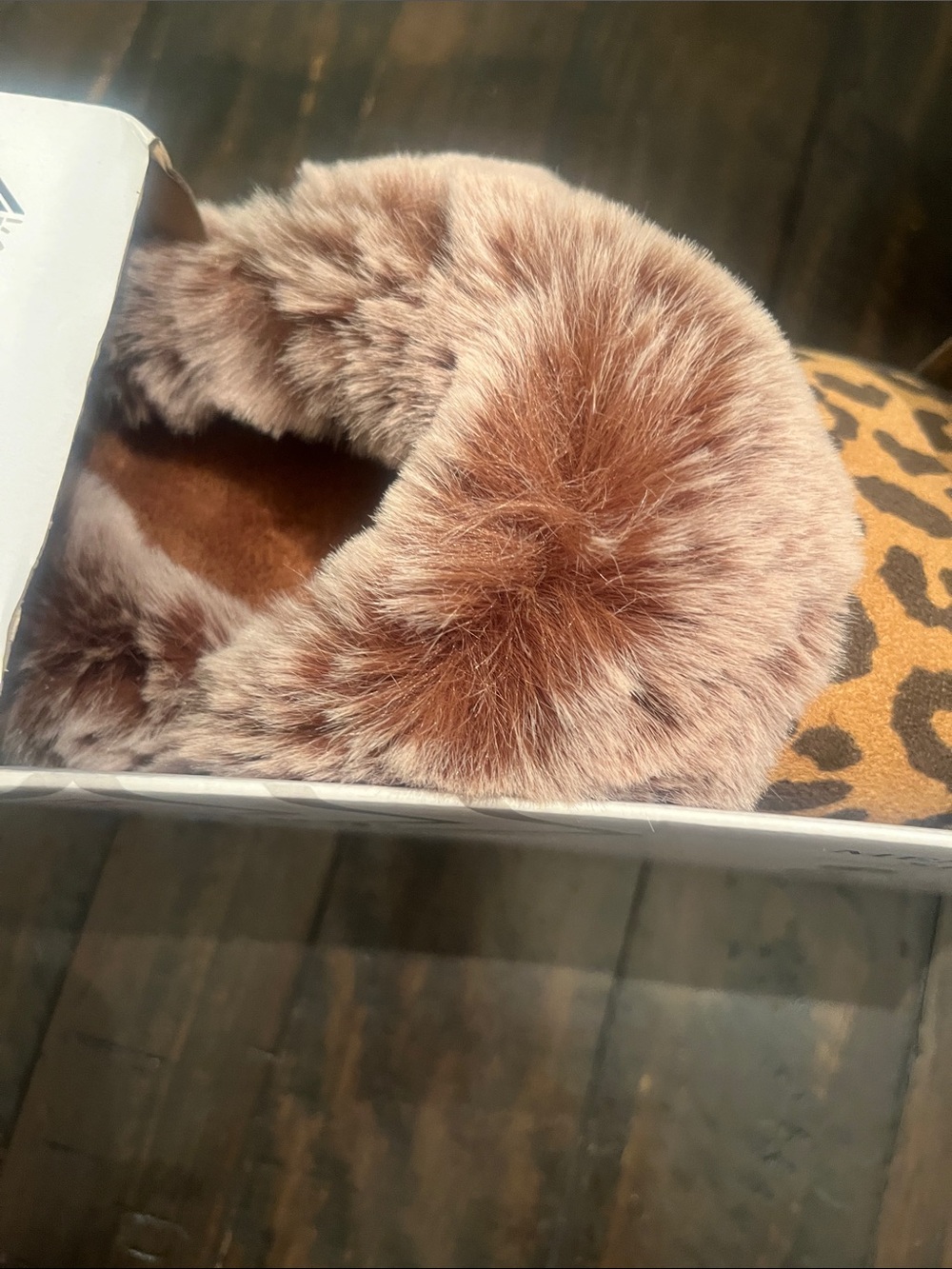 Slippers in Box - Picture 4 of 5